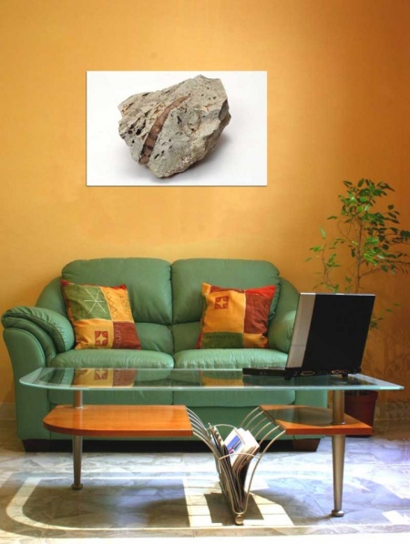 Tablou Canvas Fosila
