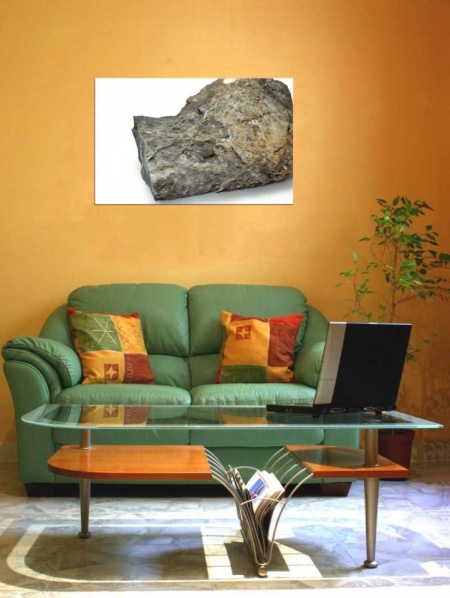 Tablou Canvas Fosila