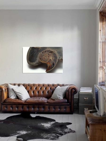 Tablou Canvas Fosila