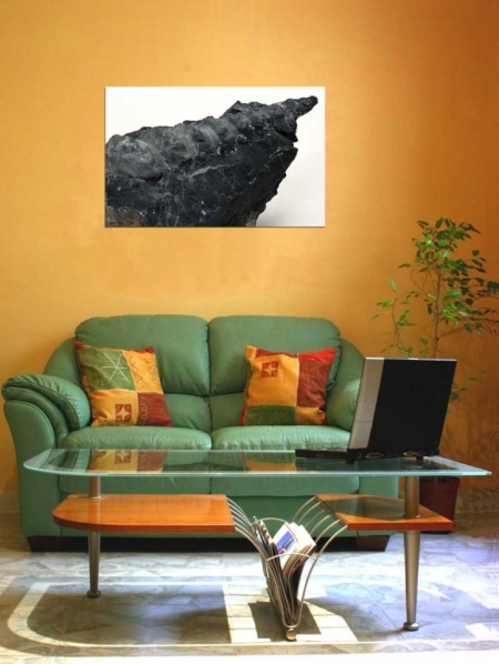 Tablou Canvas Fosila