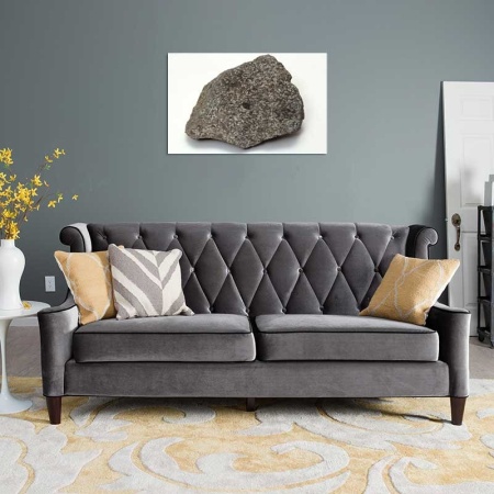 Tablou Canvas Fosila