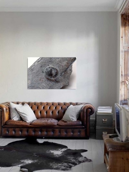 Tablou Canvas Fosila