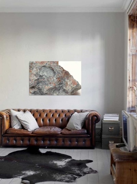 Tablou Canvas Fosila