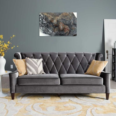 Tablou Canvas Fosila