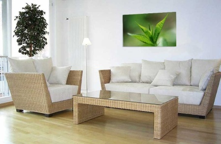 Tablou Canvas Frunza