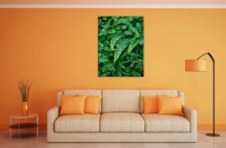 Tablou Canvas Frunza