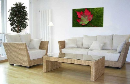 Tablou Canvas Frunze de toamna