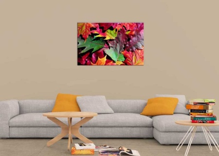 Tablou Canvas Frunze de toamna