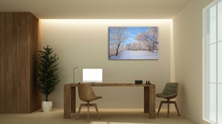 Tablou Canvas iarna - peisaj alb infinit