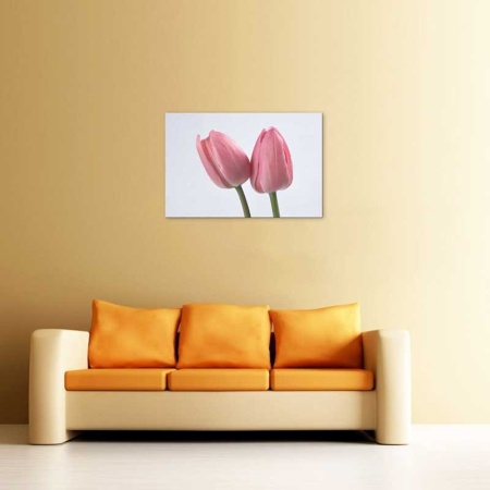 Tablou Canvas Lalea