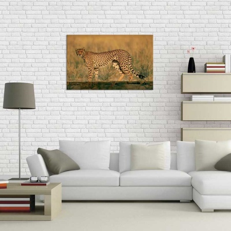 Tablou Canvas Leopard