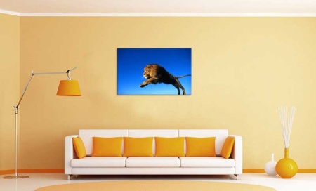 Tablou Canvas Leu