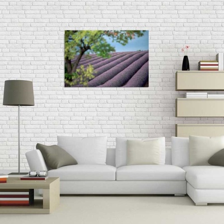 Tablou Canvas Levantica