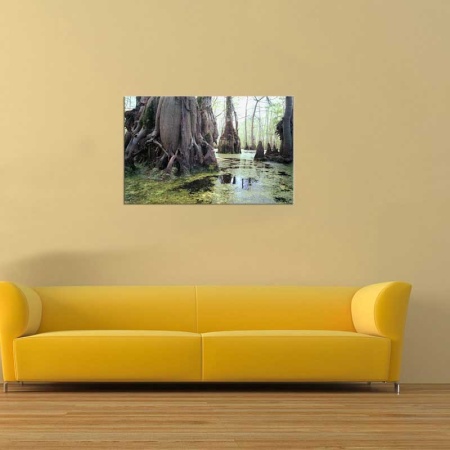 Tablou Canvas Mlastina