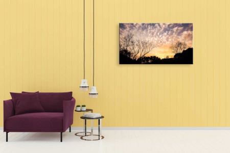 Tablou Canvas natura - asfintit