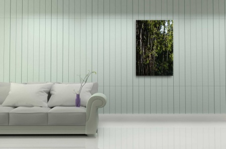 Tablou Canvas natura copaci inalti