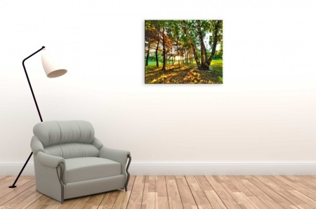 Tablou Canvas natura umbra racoroasa