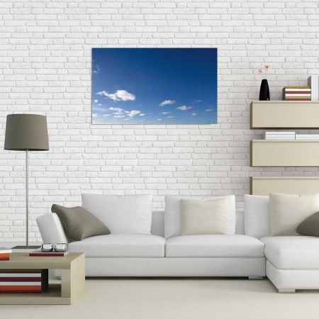 Tablou Canvas Nori Albi pe Cer