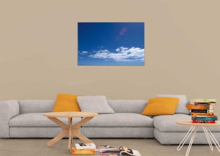Tablou Canvas Nori Albi pe Cer