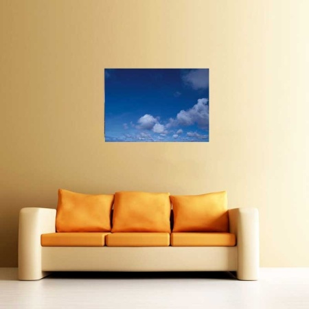 Tablou Canvas Nori Albi pe Cer