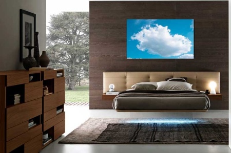 Tablou Canvas Nori Albi