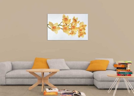Tablou Canvas Orhidee