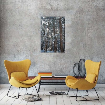Tablou Canvas Padure Iarna