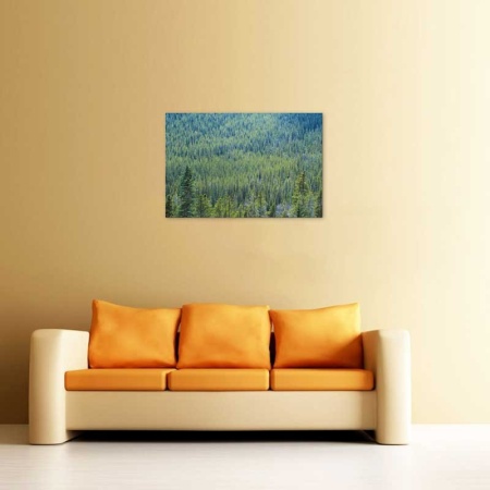 Tablou Canvas Padure