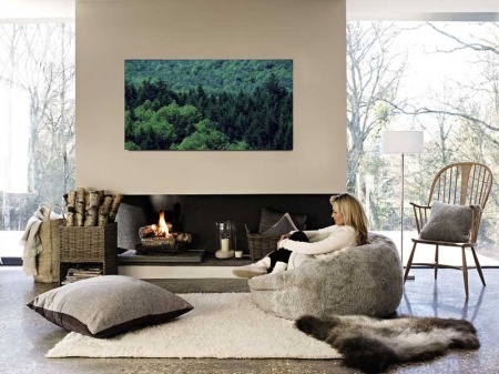 Tablou Canvas Padure