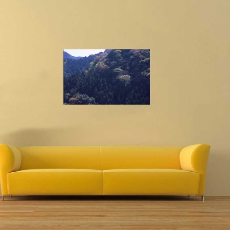 Tablou Canvas Padure