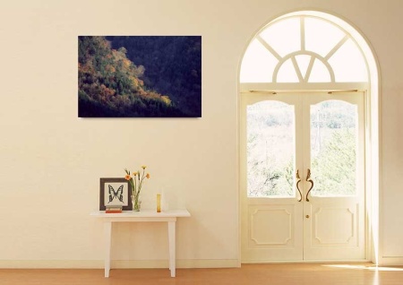 Tablou Canvas Padure