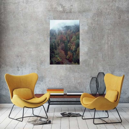 Tablou Canvas Padure
