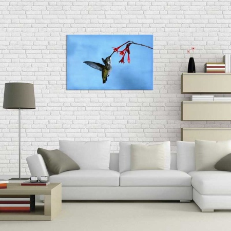 Tablou Canvas Pasarea Colibri