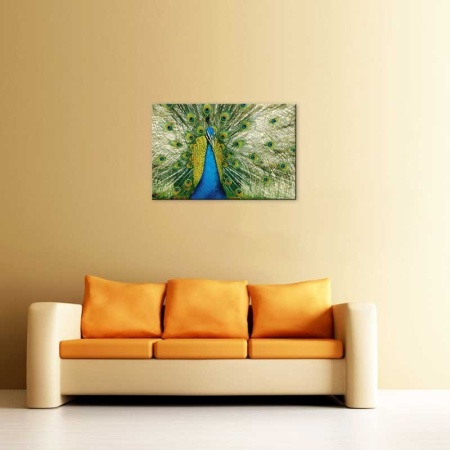 Tablou Canvas Paun