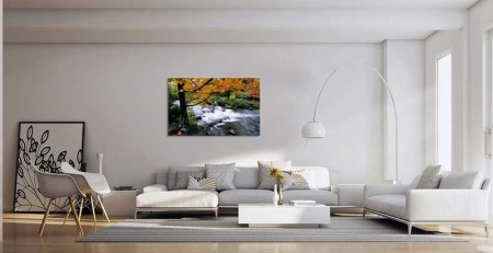 Tablou Canvas Peisaj