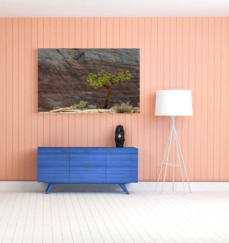 Tablou Canvas Peisaj