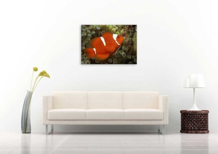 Tablou Canvas Peste