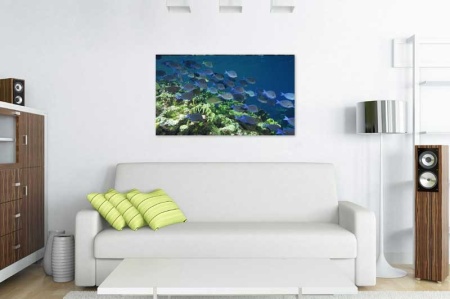 Tablou Canvas Peste