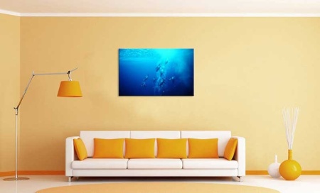 Tablou Canvas Pinguini