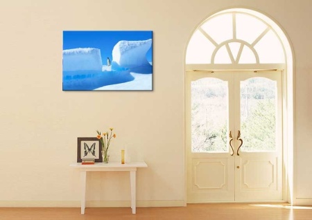 Tablou Canvas Pinguin