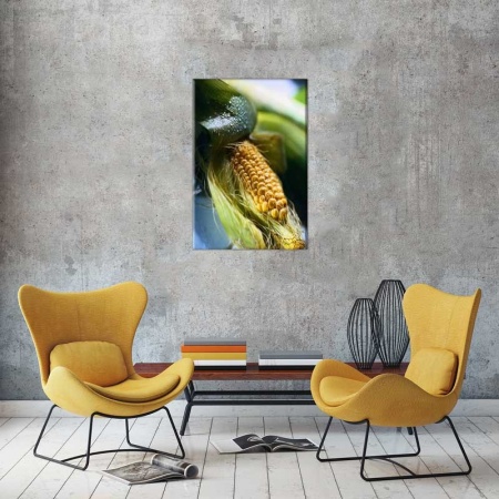 Tablou Canvas Porumb