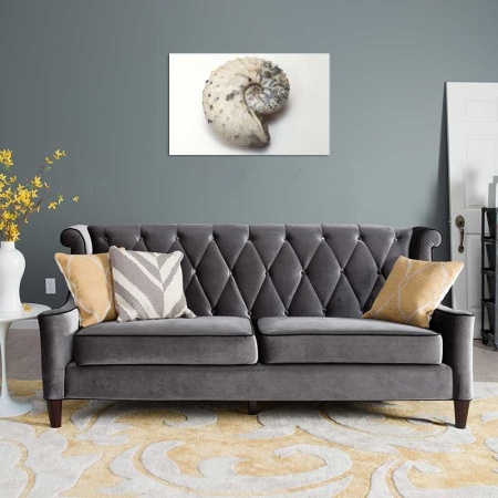 Tablou Canvas Scoica