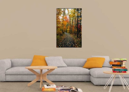 Tablou Canvas Toamna in Padure