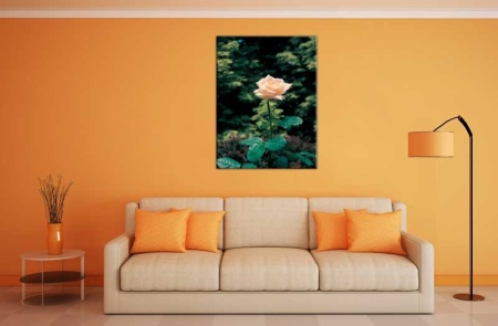 Tablou Canvas Trandafir Roz