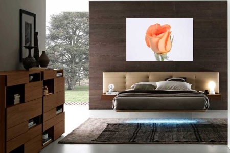 Tablou Canvas Trandafir