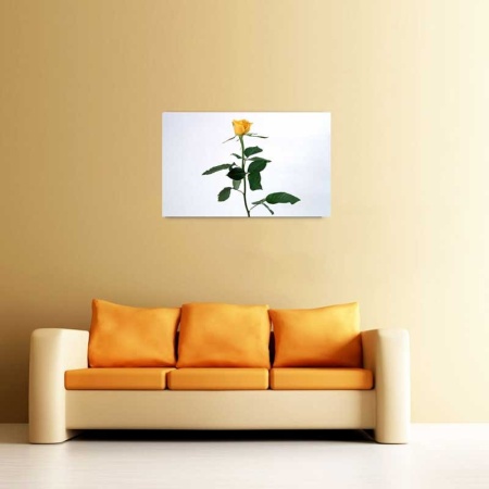 Tablou Canvas Trandafir