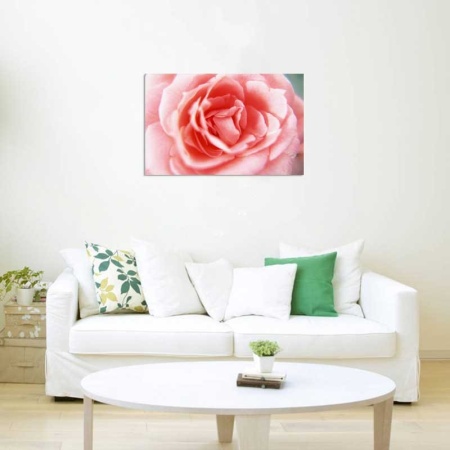 Tablou Canvas Trandafir