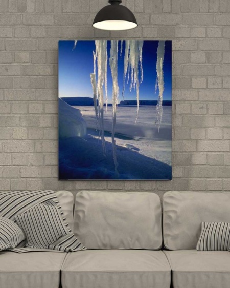 Tablou Canvas Turturi de Gheata