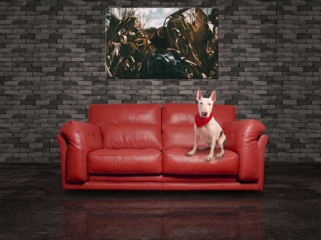 Tablou Canvas Agricultor