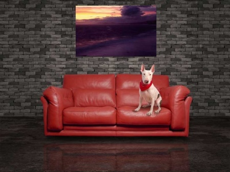 Tablou Canvas Apus de soare